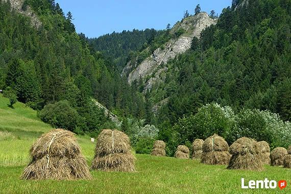 Udany wypoczynek w Pieninach
