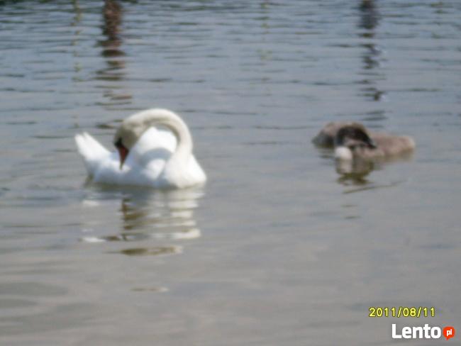 DOM NA SKARPIE NAD JEZIOREM - MAZURY