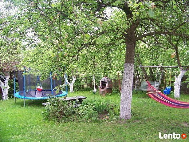 Domki i pokoje studio nad jeziorem w BORACH TUCHOLSKICH