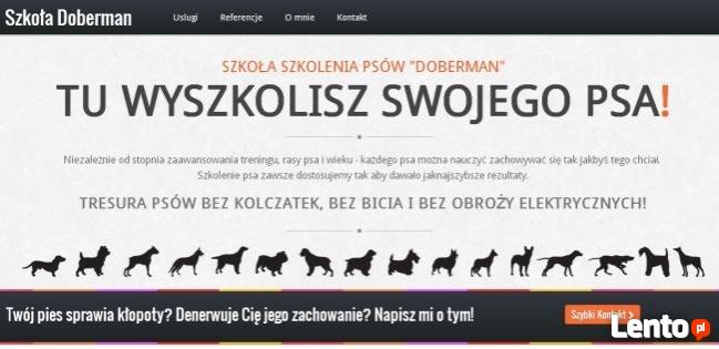 Szkolenie psów w Polkowicach - Doberman - tresura Polkowice