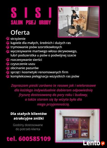 Psi fryzjer, strzyżenie psów SISI Salon Psiej Urody