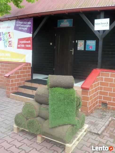 trawniki, ogrody, nawadnianie trawnika, trawa z rolki,