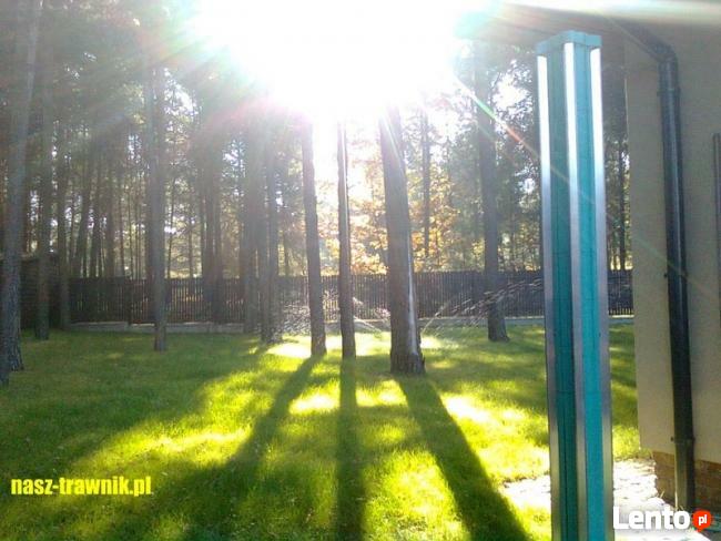 trawniki, ogrody, nawadnianie trawnika, trawa z rolki,