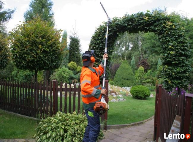 przycinanie tuji sląskie 601-756-149