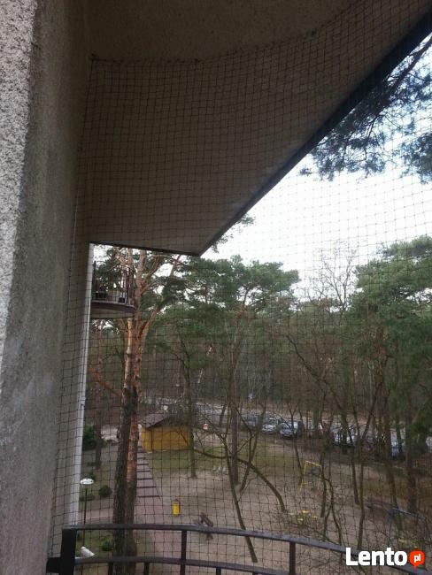 Zabezpiecznie balkonu, Siatka dla kota, i lub na gołębie.