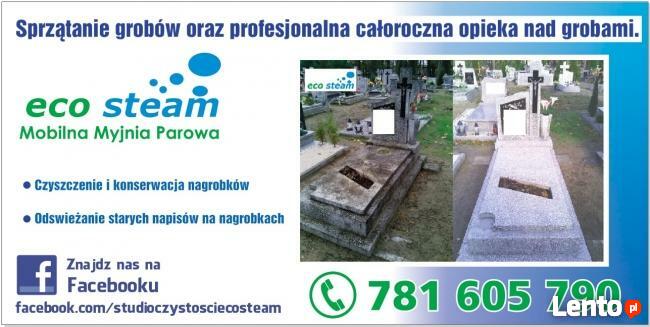 Studio Czystości ECO STEAM/pranie tapicerki dywanów