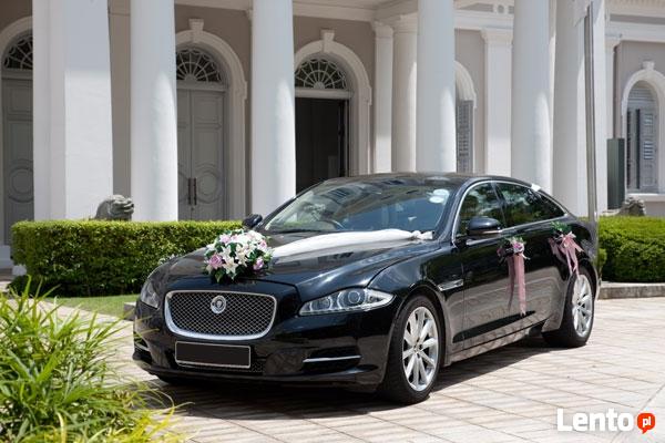 Piękny Jaguar XF do ślubu