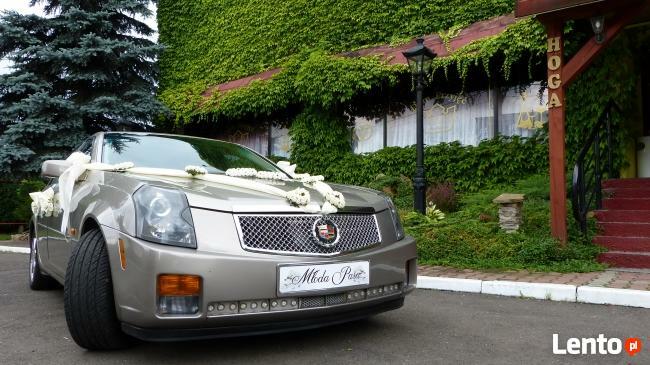 wesela od 200,00 zł