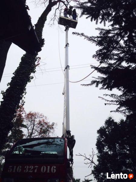 Wycinka i przycinka drzew podnośnikiem koszowym do 3,5 tony