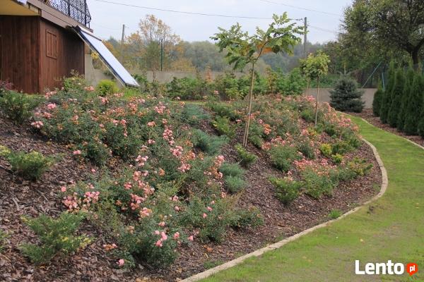 Zakładanie ogrodów - Kraków i okolice - Sungarden