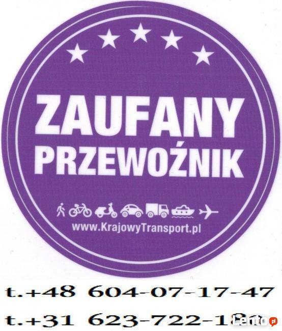 Busy Polska-Niemcy-Holandia