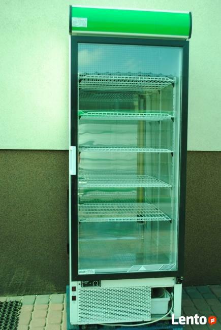 Szafa witryna chłodnicza lodówka Cold 70cm.Dostawa