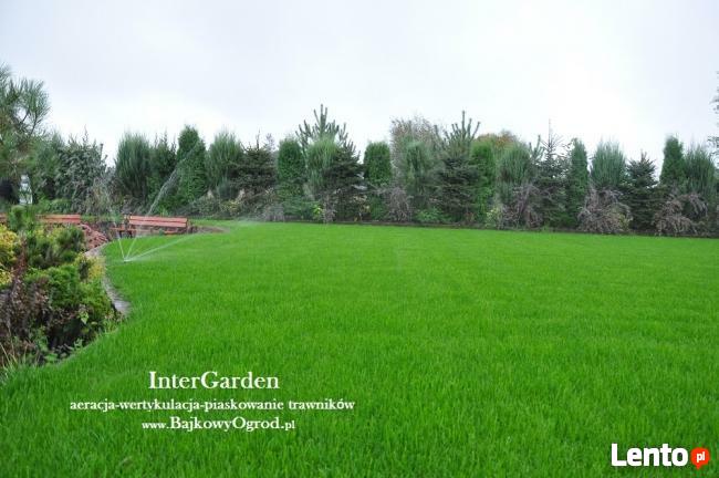 Wertykulacja, aeracja trawnika, usługi ogrodnicze