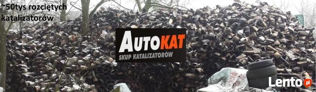 SKUP KATALIZATORÓW RADZYMIN- AUTOKAT CENNIK !