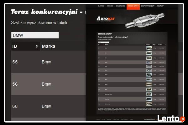 SKUP KATALIZATORÓW RADZYMIN- AUTOKAT CENNIK !