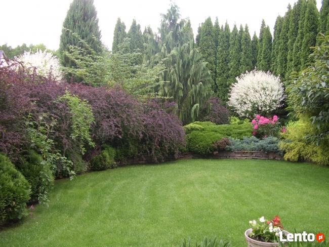 USŁUGI. PROJEKTOWANIE OGRODÓW.ZAKŁADANIE OGRODÓW KIELCE