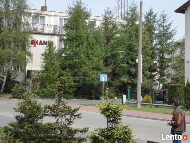 Władysławowo pokoje dla singli, łazienka, lodówka, t