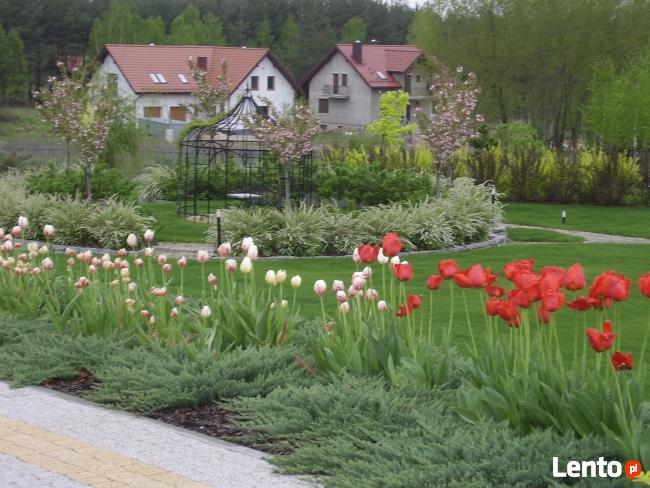 OGRODY KIELCE.Projektowanie i zakładanie ogrodów Kielce