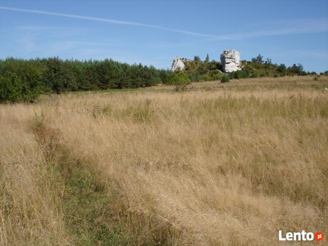 Dzialka Pod Investycje Zamek Olsztyn kolo Częstochowy
