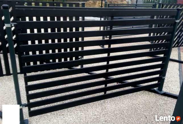 Przęsło ogrodzeniowe P12b ceownik 70x10 ocynk+kolor