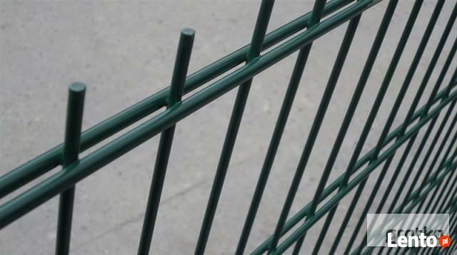 Panel ogrodzeniowy 2D 1230mm x 2500mm 8/6/8 mm oc+kolor