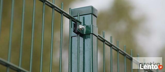 Panel ogrodzeniowy 2D 1230mm x 2500mm 8/6/8 mm oc+kolor