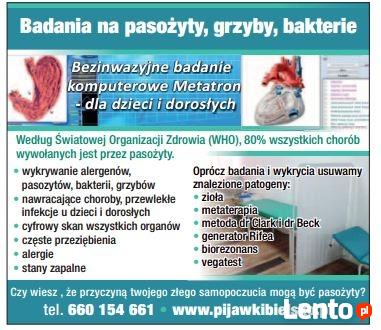 Gabinet Pijawki Lekarskiej