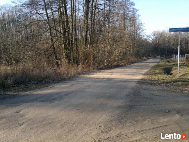 Łódz ul. Sokołowska - Wynajmę