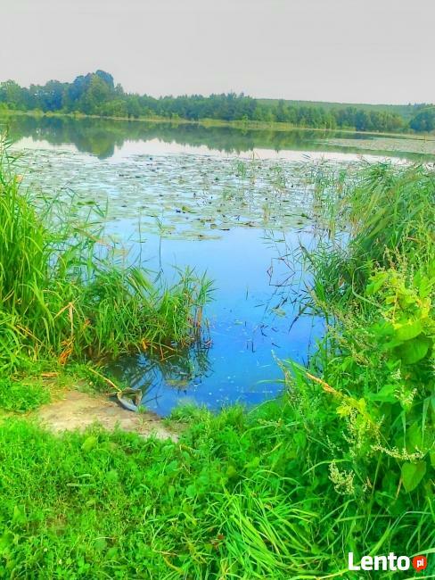 działka rekreacyjna