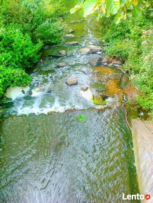 działka rekreacyjna