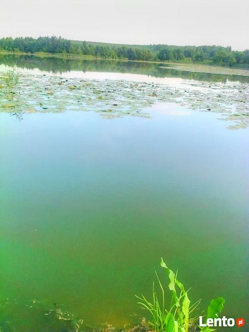 działka rekreacyjna