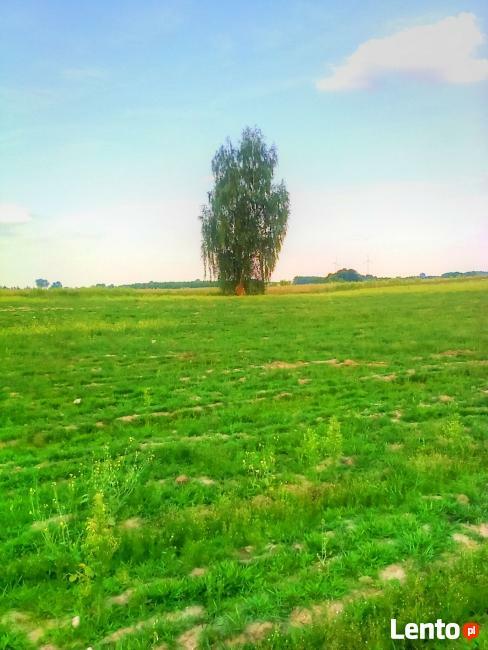 działka rekreacyjna
