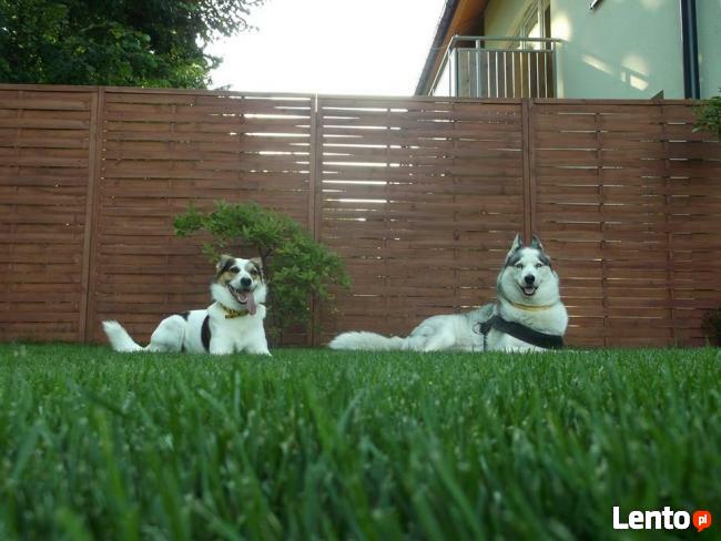 nawadnianie Kraków, systemy nawadniające, trawniki