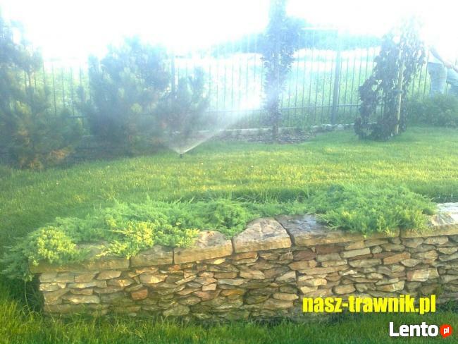 usługi ogrodnicze Kraków, Trawa z Rolki Kraków, Trawniki,