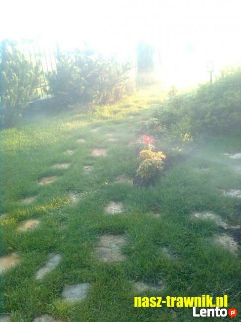 usługi ogrodnicze Kraków, Trawa z Rolki Kraków, Trawniki,