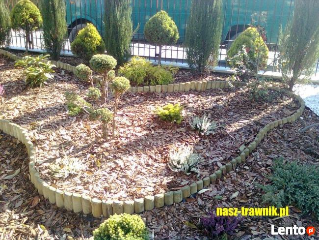 usługi ogrodnicze Kraków, Trawa z Rolki Kraków, Trawniki,