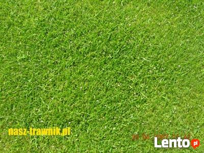 nawadnianie Kraków, systemy nawadniające, trawniki