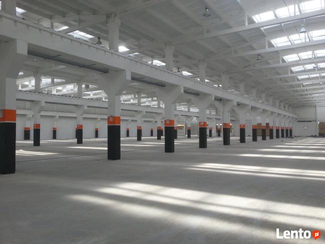 Czyszczenie hal bydgoszcz