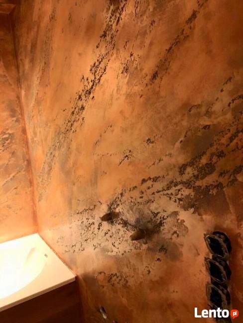 Malowanie Artystyczne, Dekoracyjne, Trawertyn, Stiuk, Tynki