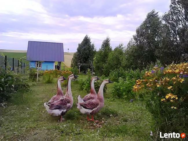 Gospodarstwo Agroturystyczne Jaworowa Górka