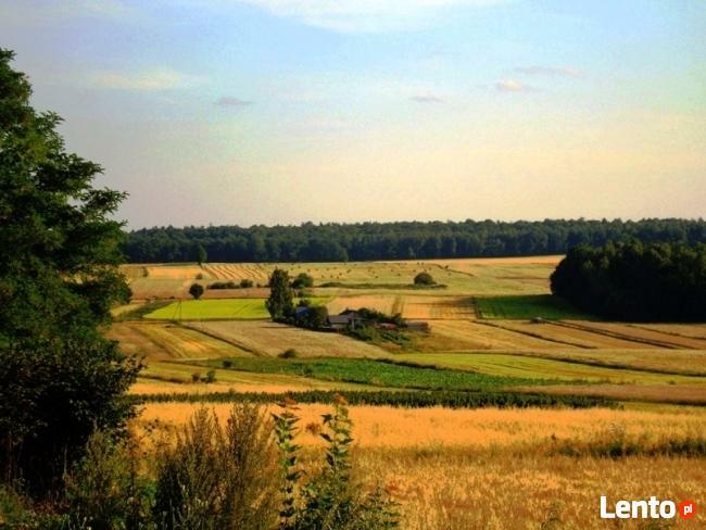 Gospodarstwo Agroturystyczne Jaworowa Górka