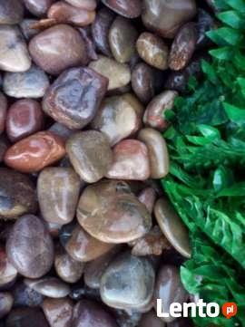 drewno rozpalka sosna buk