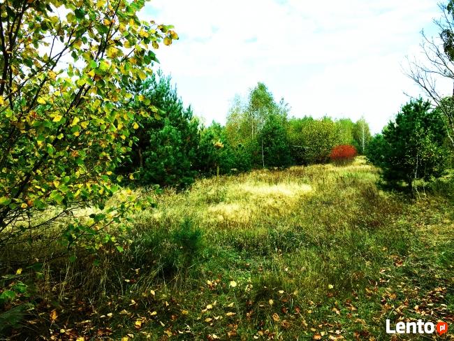 Sprzedam działkę inwestycyjną