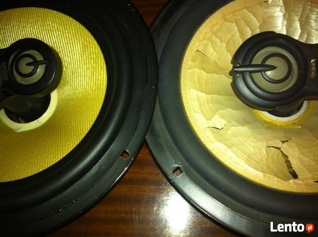 Naprawa, regeneracja, serwis głośników INFINITY Łódźkie