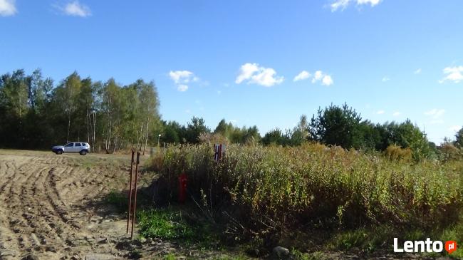 Sprzedam dwie działki budowlane częściowo zalesione.