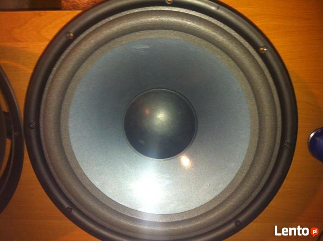 Naprawa, regeneracja, serwis głośników INFINITY Łódźkie