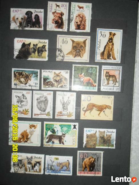 Wyprzedaż - ZNACZKI