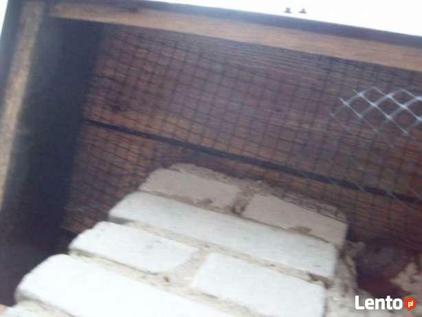 Montaż kolców - antyptaków -zabezpieczenia przeciw ptakom