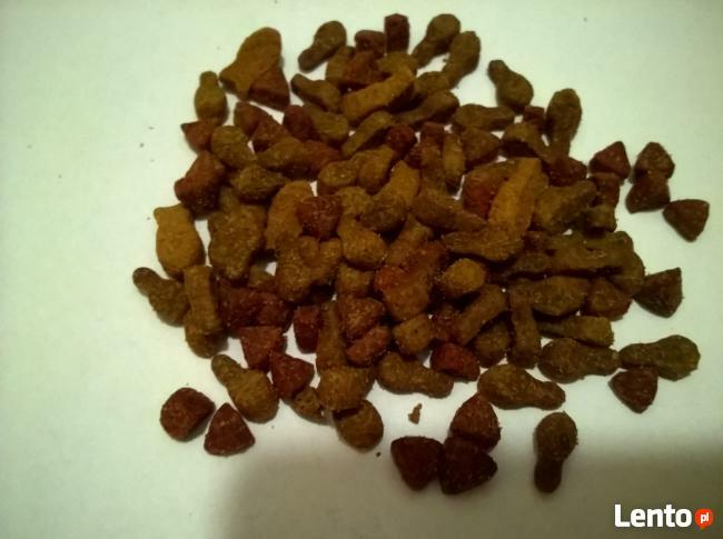 FAVORIT MIX (wołowina-drób-ryba) 15 kg PROMOCJA