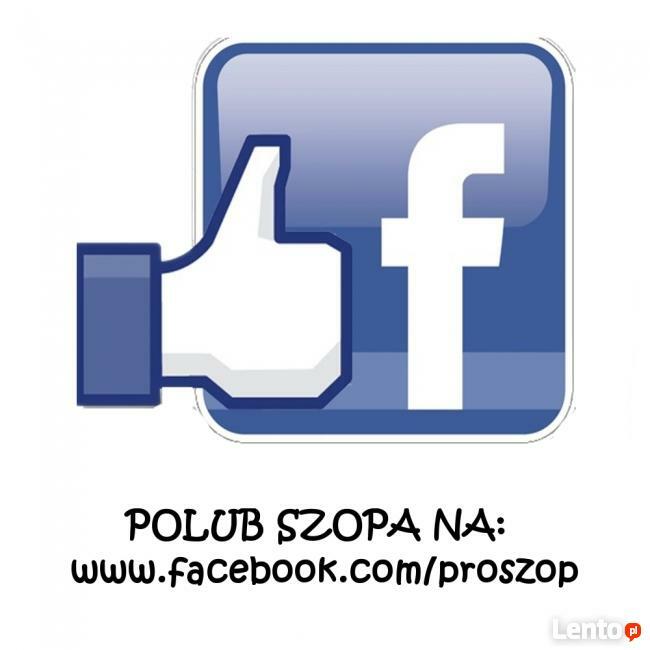 Czyszczenie/Pranie: Tapicerki Meblowej, Wykładzin, Dywanów